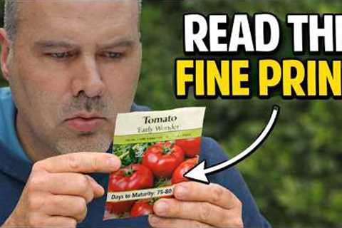 The Seed Packet Detail That Ruins Tomato Yields