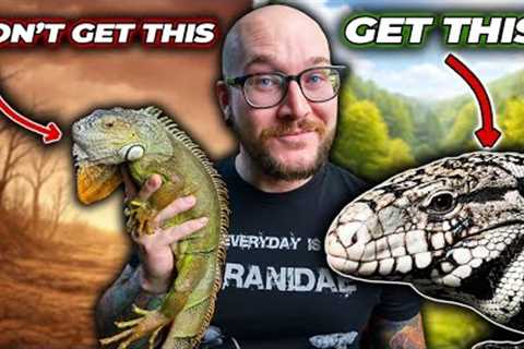 5 Reptiles You THINK You Want But Definitely DON'T!