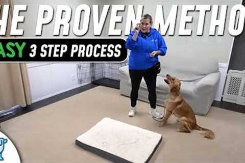 3 Steps That Can Teach ANY Dog ANY Skill
