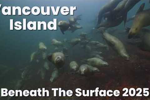 Vancouver Island Beneath the Surface | 2025 Scuba Diving Highlights