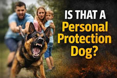 Real Protection Dog - Really?