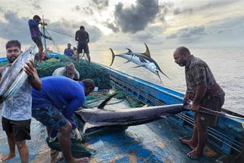OMG!! The Eighth Day We Stayed In The Deep Sea And Caught A Lot Of Big Fishes | Day-08 | S07-EP08