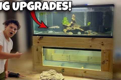 Fish Room Maintenance Day | Water Changes, Plumbing, and Tank Updates