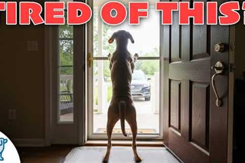 How to STOP Your Dog BARKING at the Door (Real-World Training)
