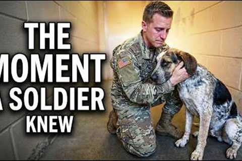 Here's What a Soldier Saw in this Dog  NO ONE Wanted 🥲