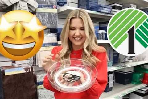 Dollar Tree Organization HACKS!