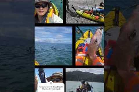 Fishing at Tapu Beach New Zealand #newzealand #fishing  #kayakfishing