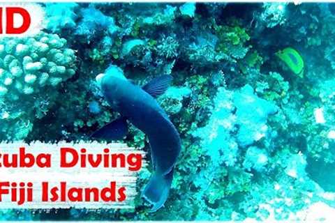 Scuba Diving Trip 1 ( Fiji Islands )