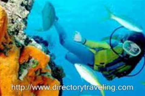 Scuba Diving | Travel Directory, Travel Information and Resource