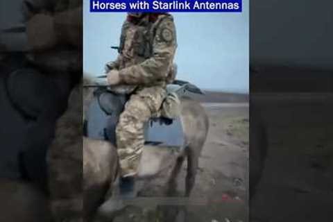 Russian Army uses Horses with Starlink Antennas Appear on the Battlefield!!