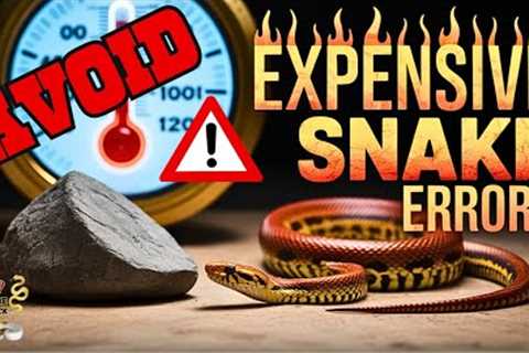 Don't Make These Mistakes Your First Year With Snakes