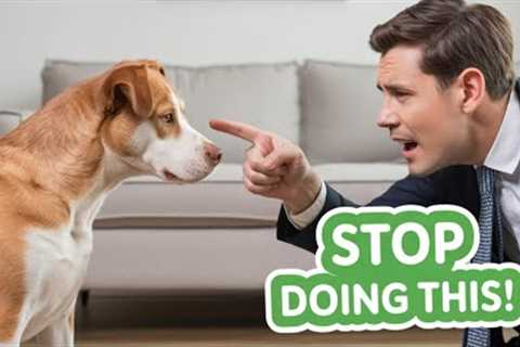 The Most Common Dog Training Myths (Debunked)