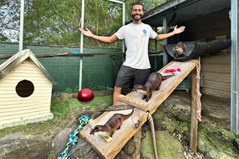 I Built NEW Enclosure For My PET OTTERS!!