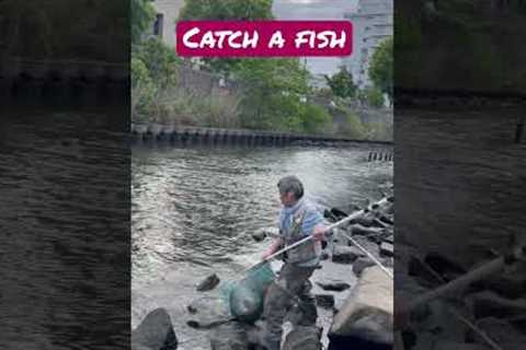 An awesome beautiful moment- A Japanese fishing hobbyist catching a fish live #japanshorts #fishing