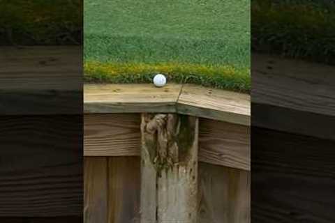 Golf can be cruel 😔