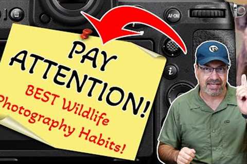 10 Habits That Will Instantly Improve Your Wildlife Photography