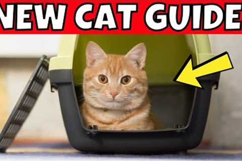 Bringing Home a Cat: The Ultimate Beginner’s Guide
