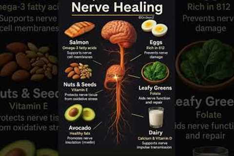 Top 10 Foods to Heal Your Nerves Naturally | Nerve Healing Foods
