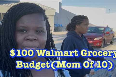 Walmart Grocery Haul ON A BUDGET #grocery shopping