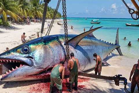 How Fishermen Catch the 1,500KG Bluefin Tuna   Deep Ocean Documentary
