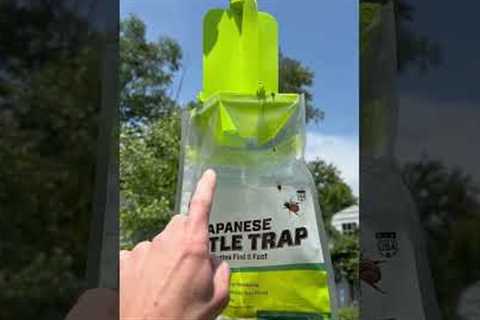 RESCUE! Japanese Beetle Trap Review | Honest Review