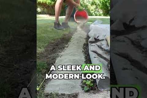Elevate Your Home's Curb Appeal: Modern Planters for a Modern Front Yard