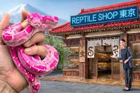 Private Tour of Japan's Secret Reptile Store