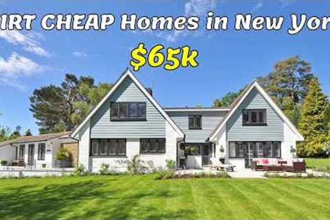 DIRT CHEAP Farmhouses Real Estate Goldmines : 5 Acreage Homes in New York  Under $100,000