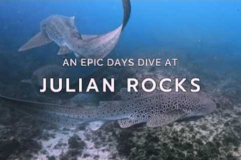 Scuba Diving Julian Rocks with INCREDIBLE Marine Life -  Byron Bay - 4K
