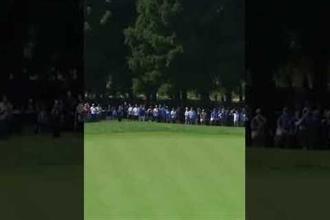 One Shot That Changed the Hole #golf #golfshot