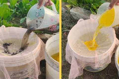 One Liquid for Growth &amp; Pest Control That Nourish Your Garden Conditions  
