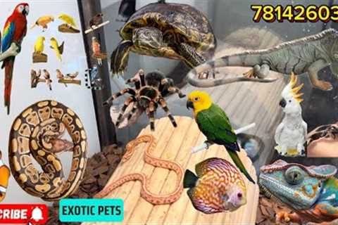 Exotic Pets Ludhiana 😱💯 Full Vlog