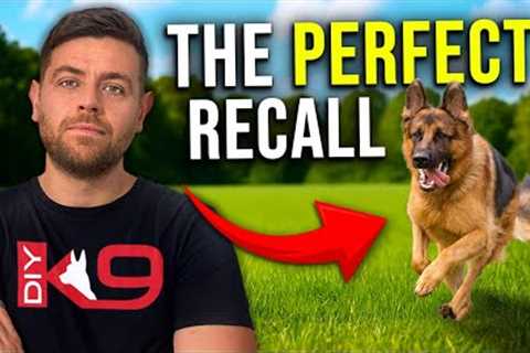 Teach Your Dog a ROCK-SOLID Recall Ft. Steven O Hagan
