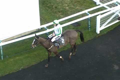 £125k buy Diamant Dore wins by half the track on debut | Racing TV