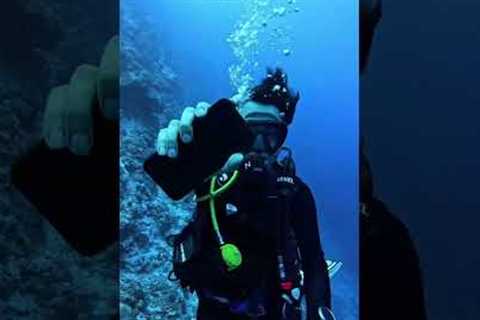 Scuba diving at Netrani island @Murdeshwar#scuba #netraniisland #scubadivingtravel #scubatravel