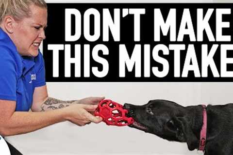 The BIG Mistake People Make When Teaching A Dog To Drop Something