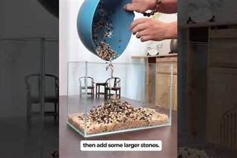 How to build a fish tank