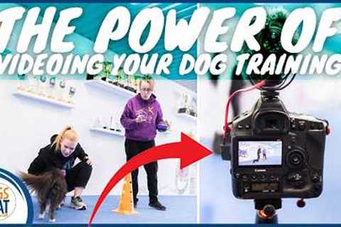 Video Your Dog Training! Complete Guide To Videoing, Reviewing &amp; Improving Every Session