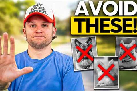 AVOID These Dog Breeds as a Total Beginner!