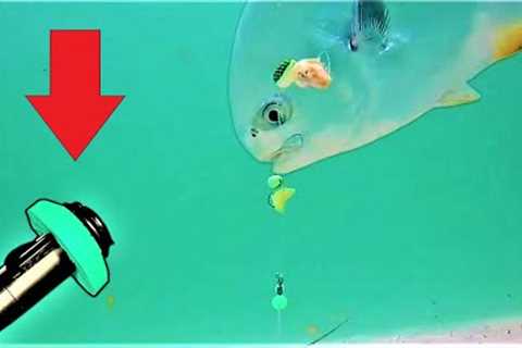 World's first SURF FISHING RIG CAMERA captures STUNNING NEVER before seen FOOTAGE!