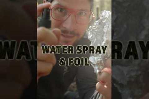 Macro Photography Hacks: Spray Bottle &amp; Aluminum Foil #macrophotography #canonrf