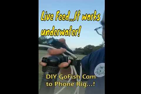 DIY GoFish Cam to Phone Live Feed Rig #shorts