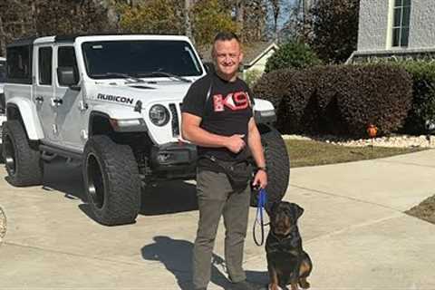 Live Recall Dog Training