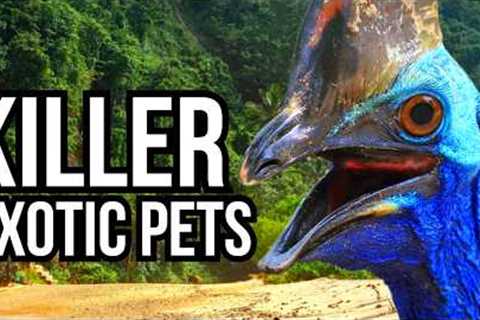 7 Exotic Pets That Ended Up Eliminating Their Owners