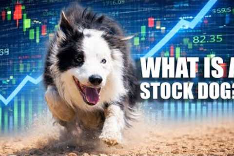 Ep 10 - Moura Dogmanship - How to teach a stock dog to do an outrun