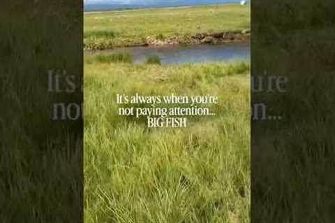 Why Does This Always Happen | Fly Fishing Mistakes