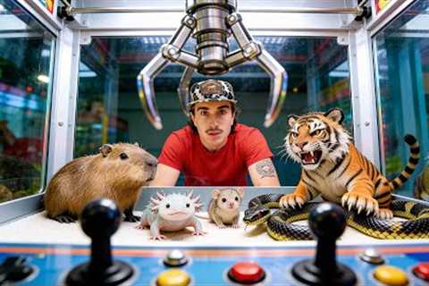 I Found a Live Animal Claw Machine Off the Web…
