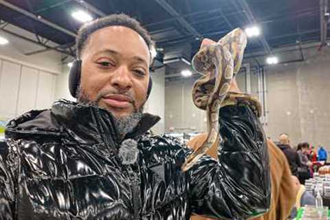 “Jackson Reptile Expo 2026 | Michigan’s Exotic Reptile Event 🐍”