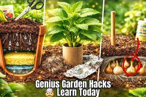 Gardening Hacks That Save Time, Money &amp; Effort (You’ll Wish You Knew Sooner) 🔥