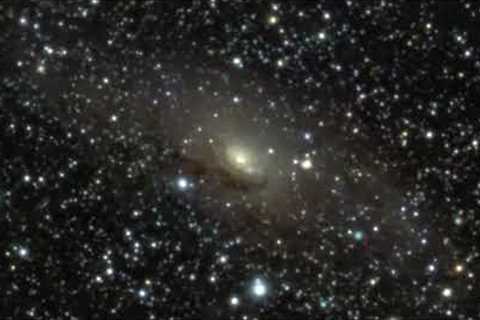 Circinus Galaxy Zoom — James Webb Space Telescope